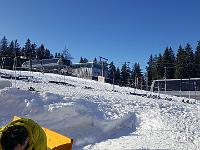 2020-01-21 13.41.16  IICSA